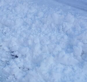 大雪と除雪とその対策